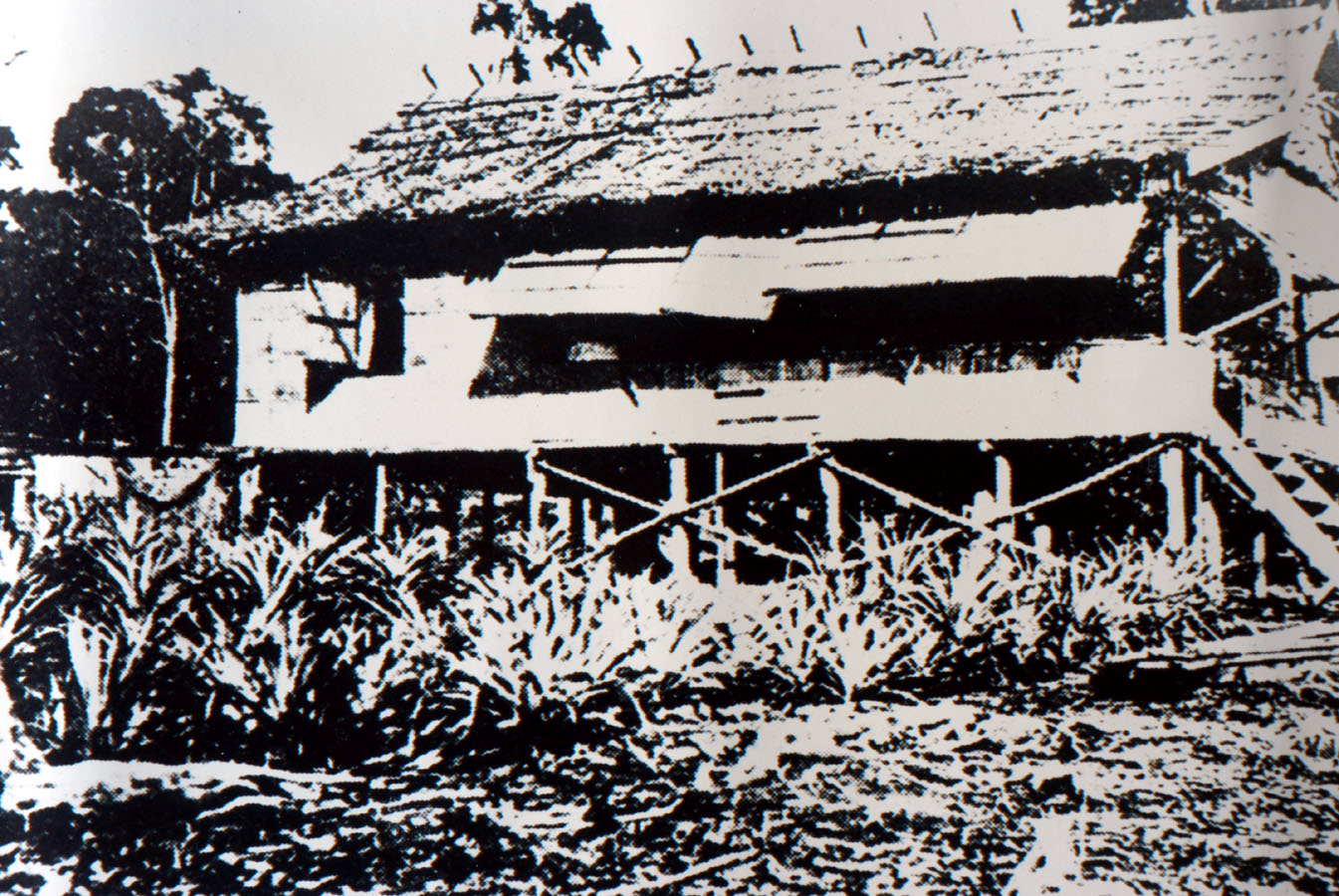 ‘....we lived in leaf houses with jungle so close that wild boar were shot from the veranda......We spent much of our leisure shooting crocodiles in the river.....’ a 1953 recollection of Mr B. Broom, one of the original party of eight engineers that arrived in 1910.