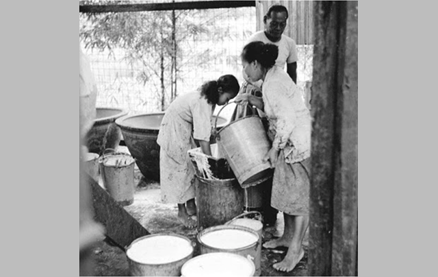 Once the rubber trees were tapped the collected latex would be carried in these pails for miles through the estate back to a weighing shed.